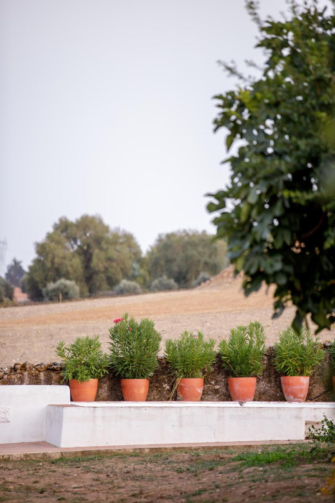 Monte Da Hortinha Villa Estremoz Exteriör bild