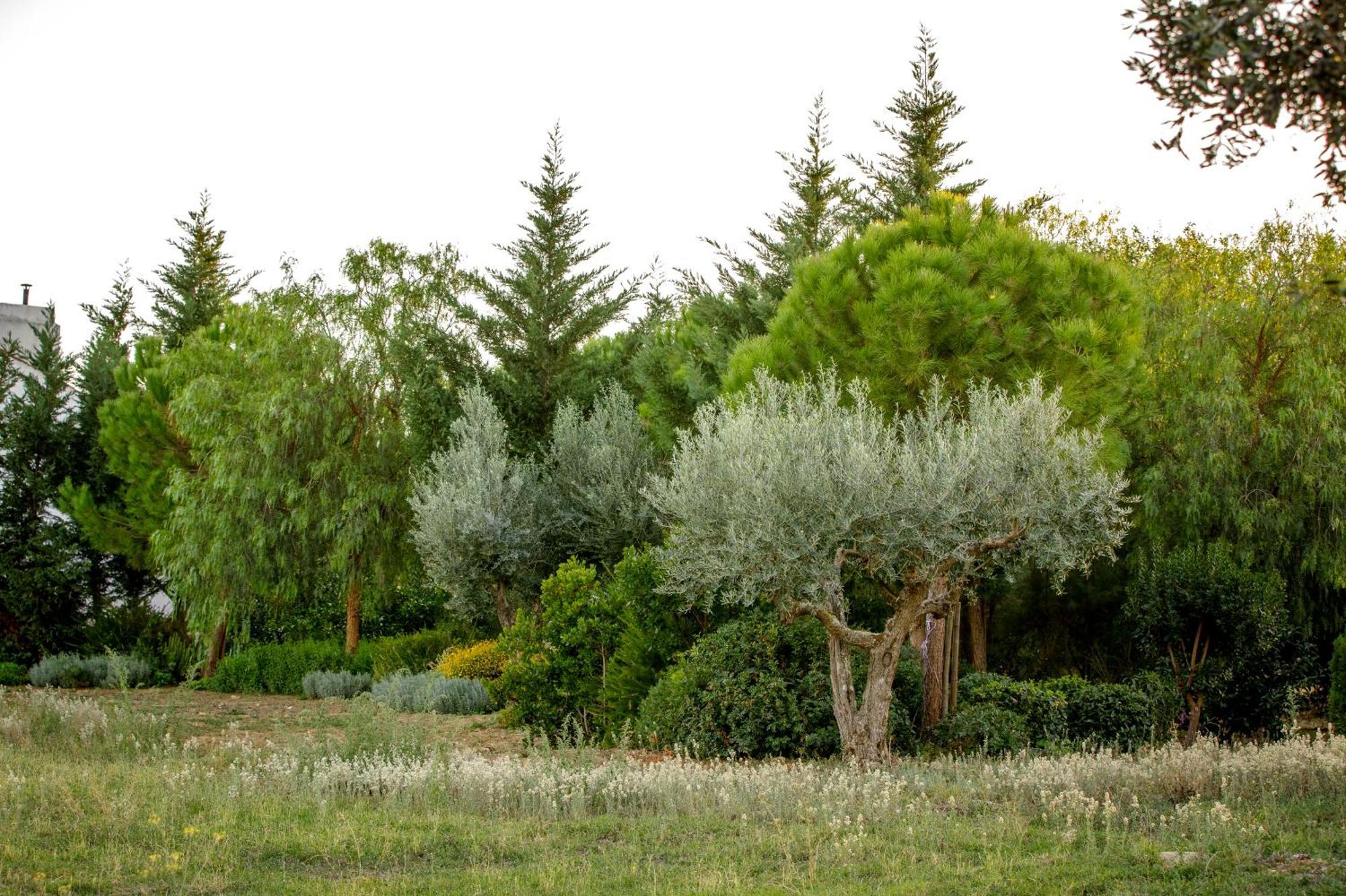 Monte Da Hortinha Villa Estremoz Exteriör bild