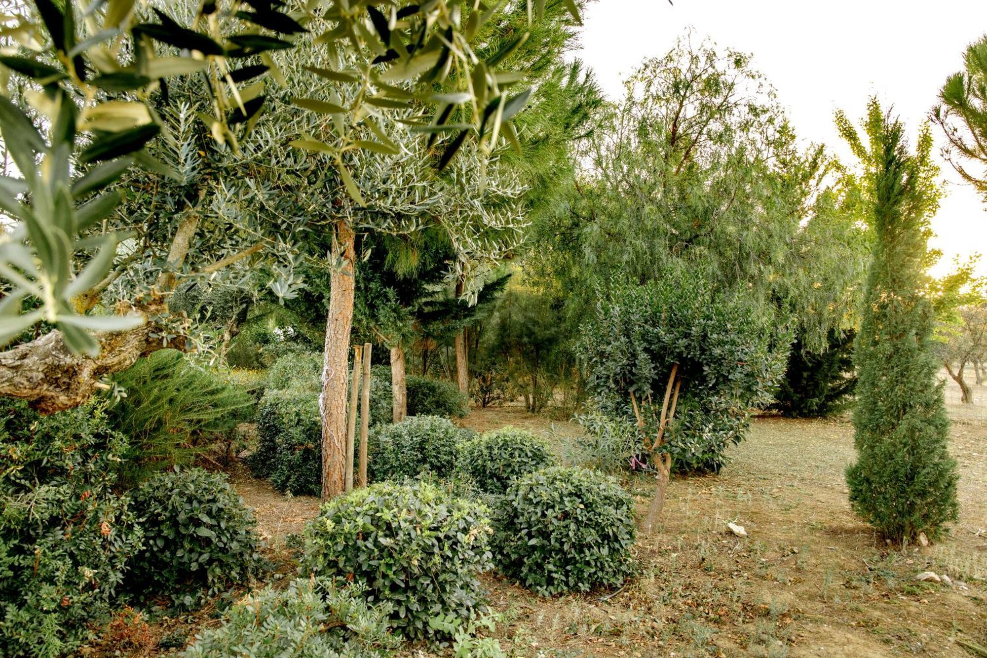 Monte Da Hortinha Villa Estremoz Exteriör bild